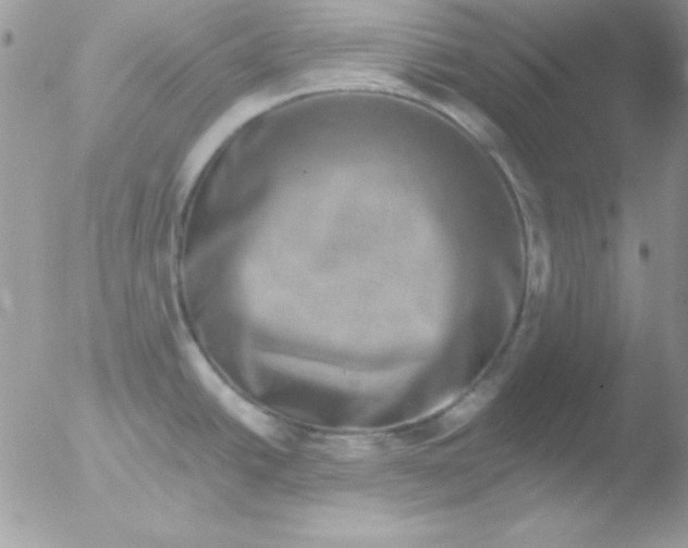 X0000051881438200507151901