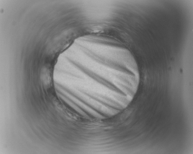 X0000051881442200507151900