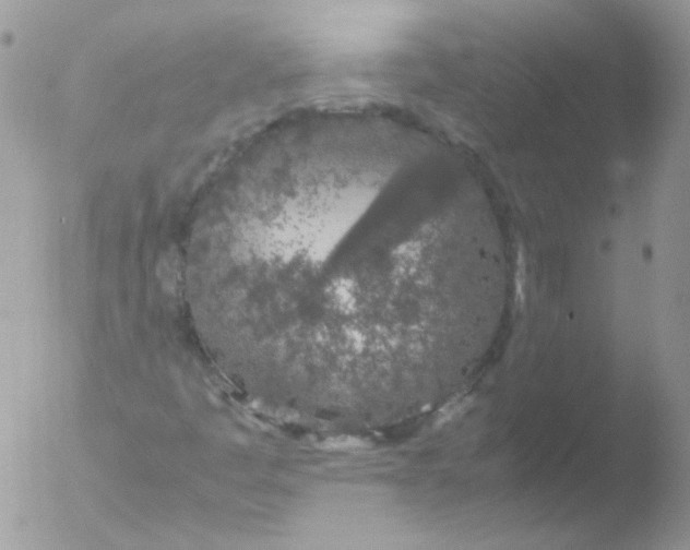 X0000051881445200507151900