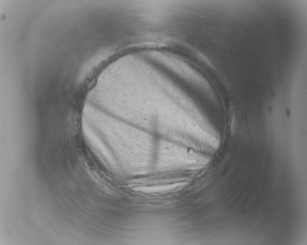 X0000051881448200507151900