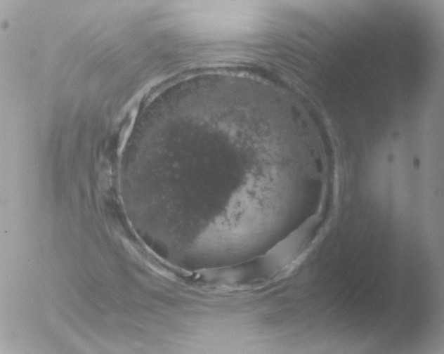 X0000051881449200507151900