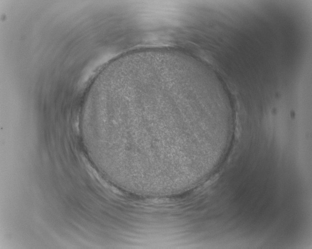 X0000051881451200507151900