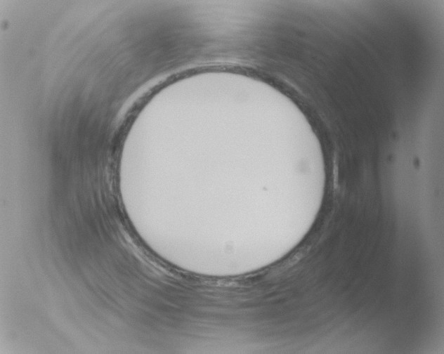 X0000051881452200507151900