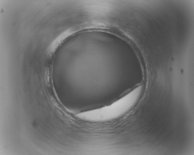 X0000051881455200507151900