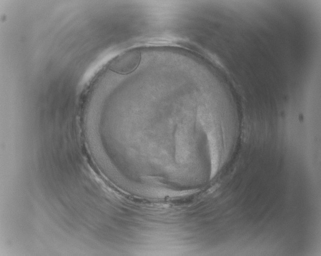 X0000051881456200507151900