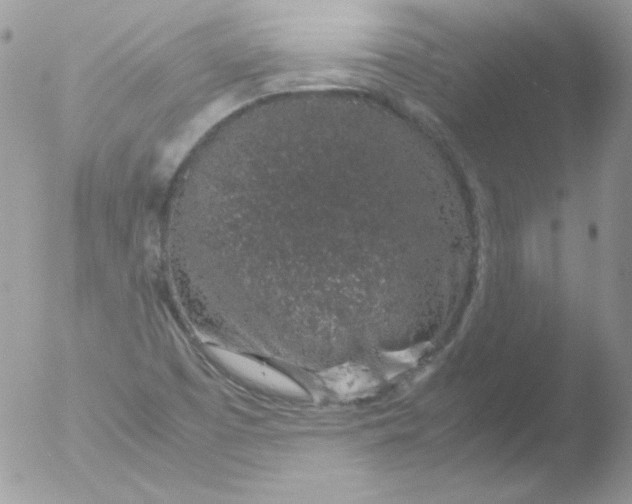 X0000051881457200507151900