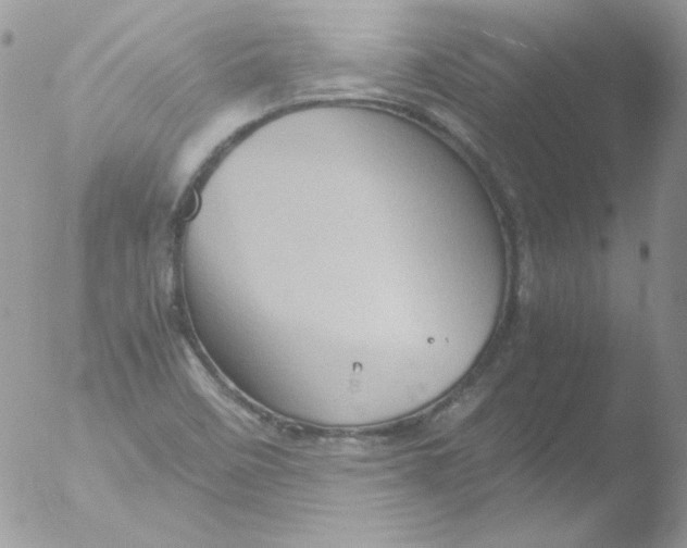 X0000051881458200507151900