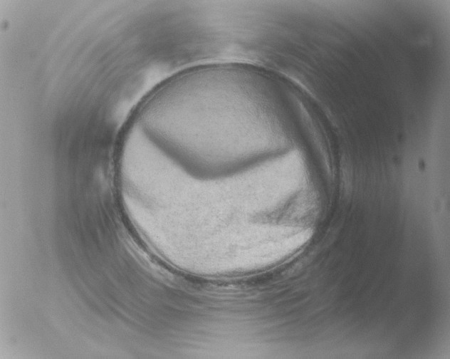 X0000051881460200507151900