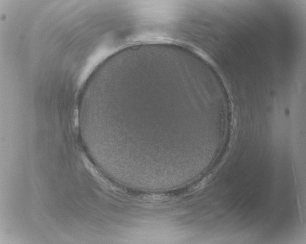 X0000051881461200507151900