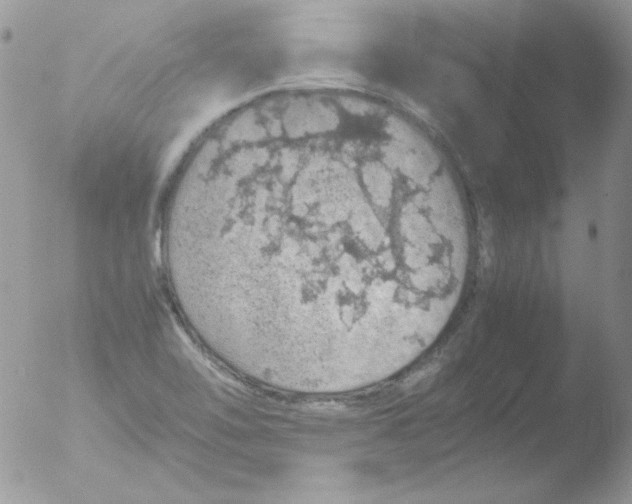 X0000051881462200507151900