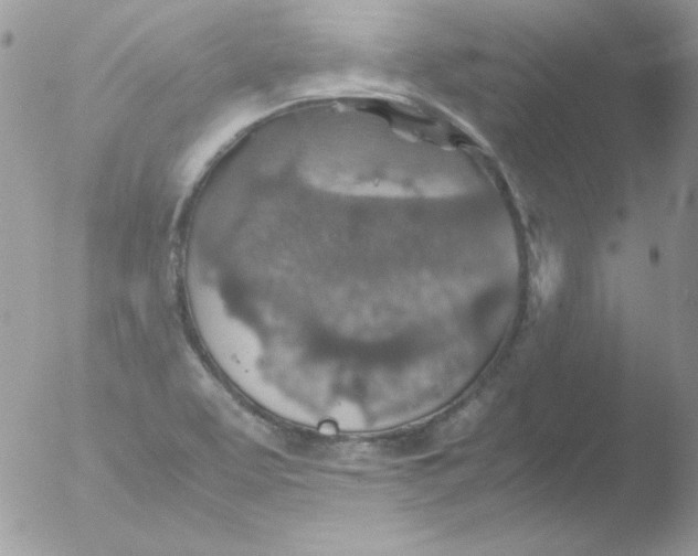 X0000051881463200507151900