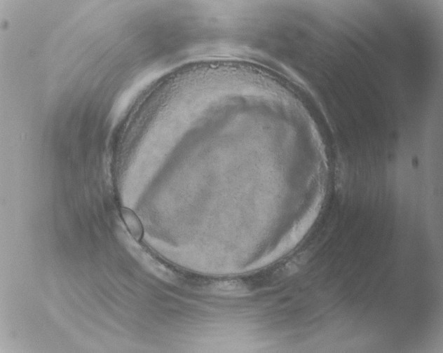 X0000051881464200507151900