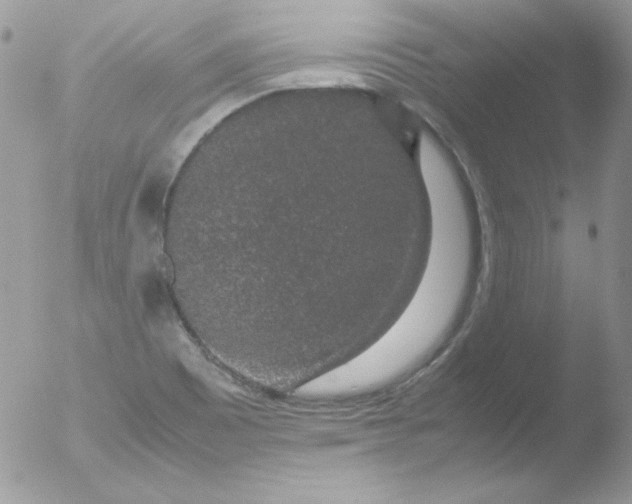 X0000051881465200507151900