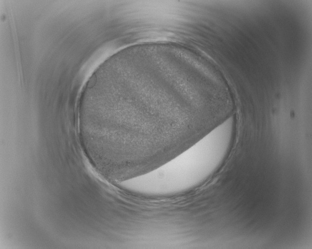 X0000051881467200507151900