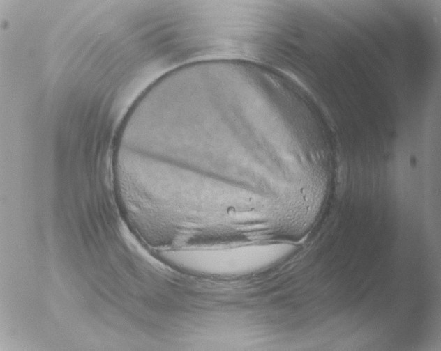 X0000051881468200507151900