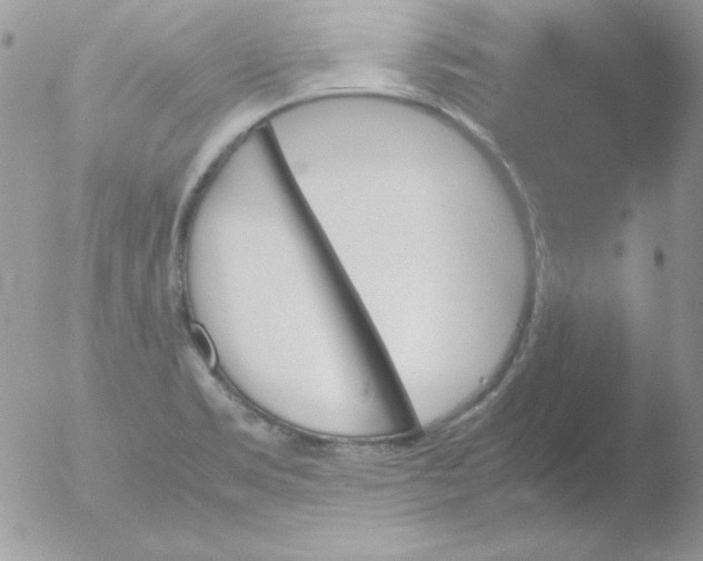 X0000051881469200507151900