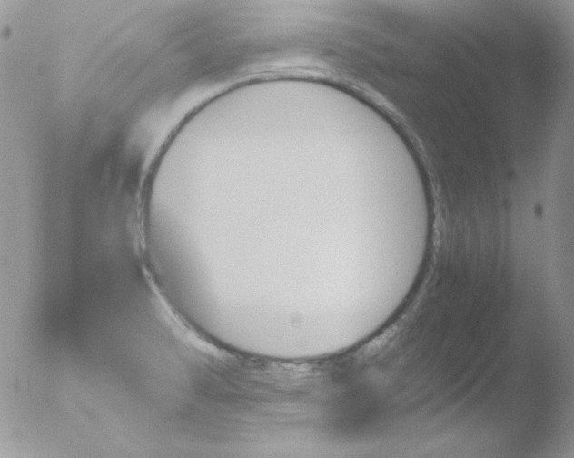 X0000051881470200507151859