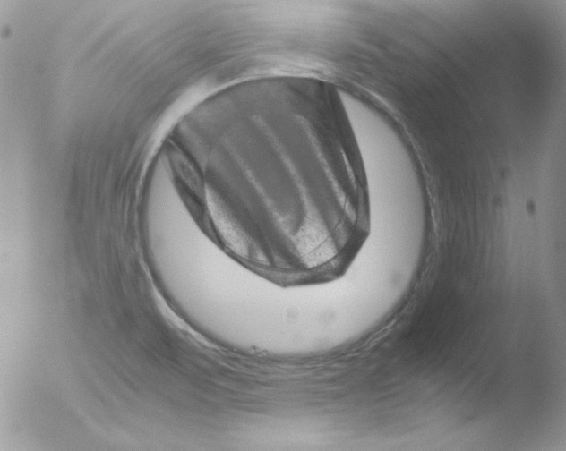 X0000051881471200507151859