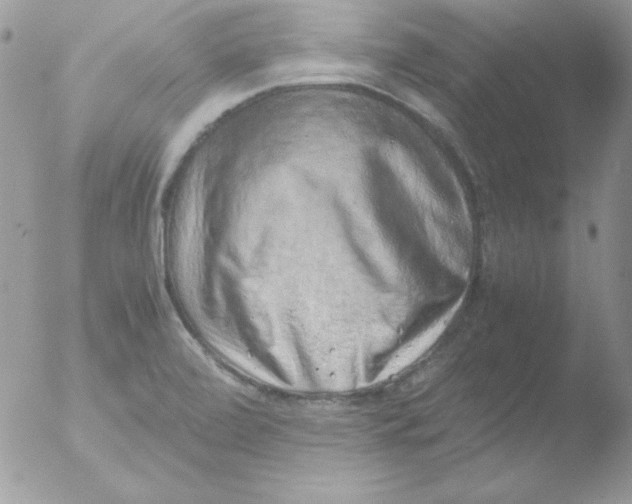 X0000051881472200507151859