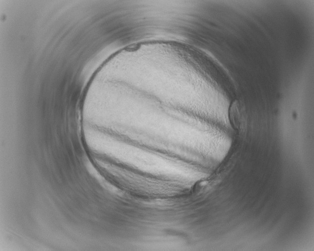 X0000051881476200507151859