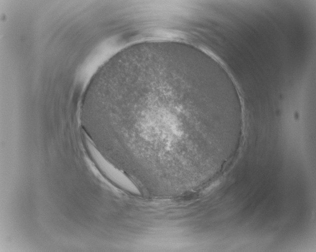 X0000051881477200507151859