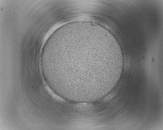 X0000051881478200507151859