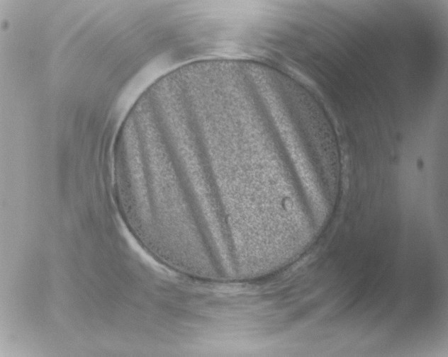 X0000051881479200507151859