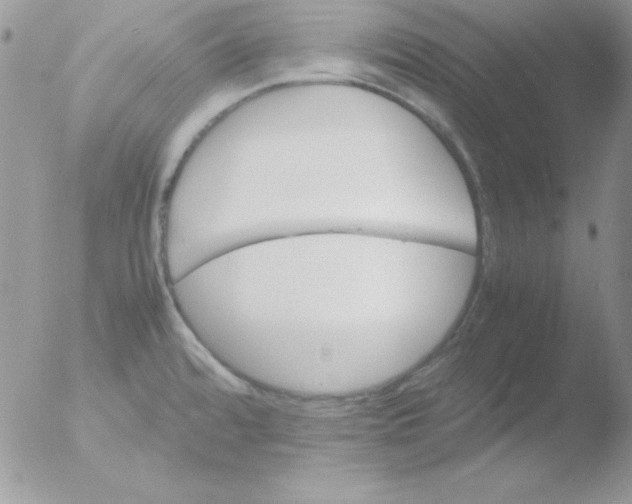 X0000051881480200507151859