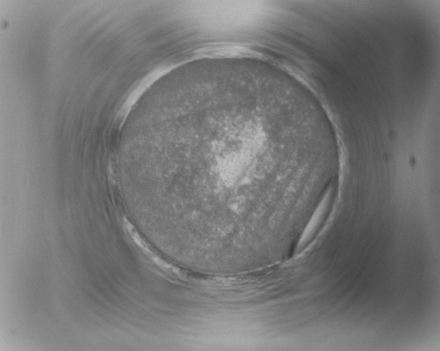 X0000051881481200507151859