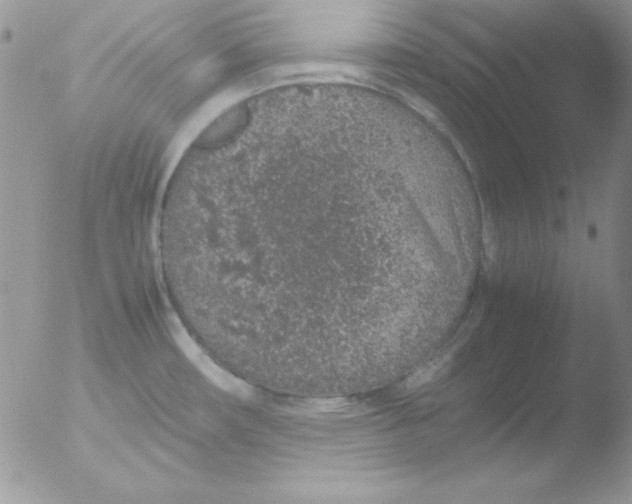 X0000051881482200507151859