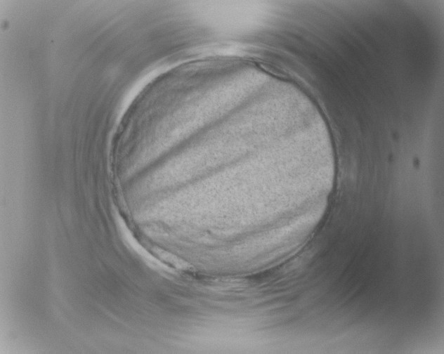 X0000051881483200507151859