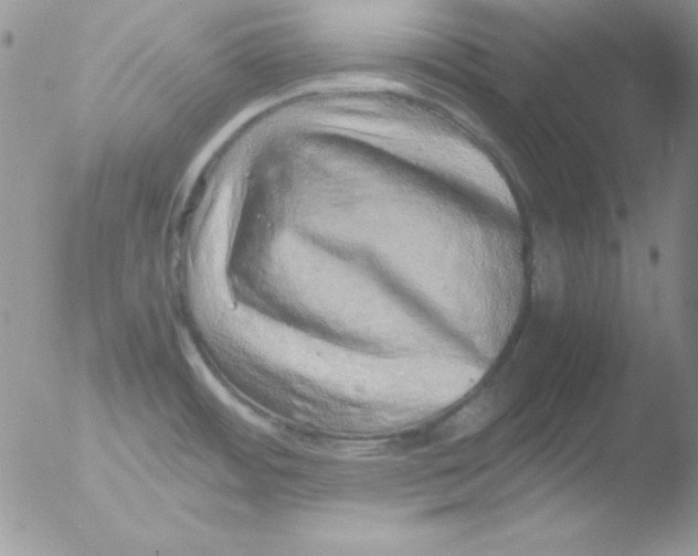 X0000051881484200507151859