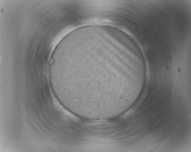 X0000051881486200507151859