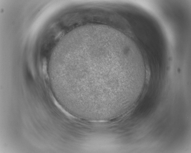 X0000051881487200507151859