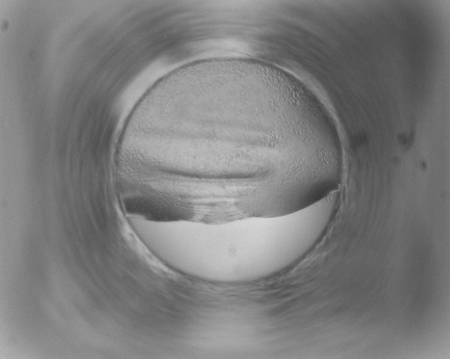 X0000051881488200507151859