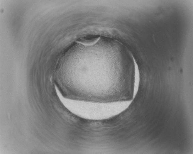 X0000051881489200507151858