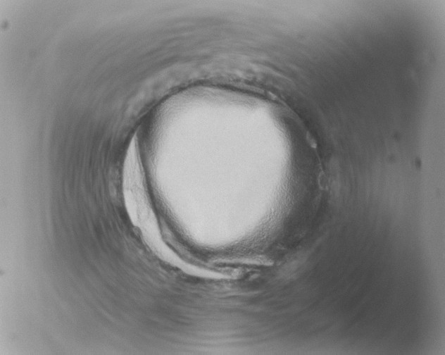 X0000051881490200507151858