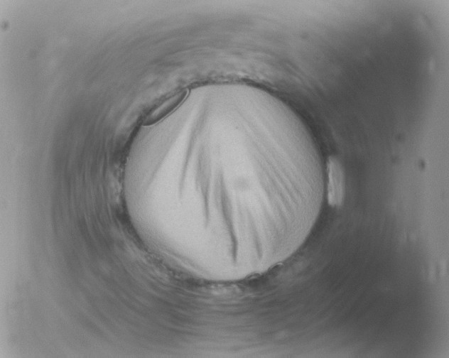 X0000051881491200507151858