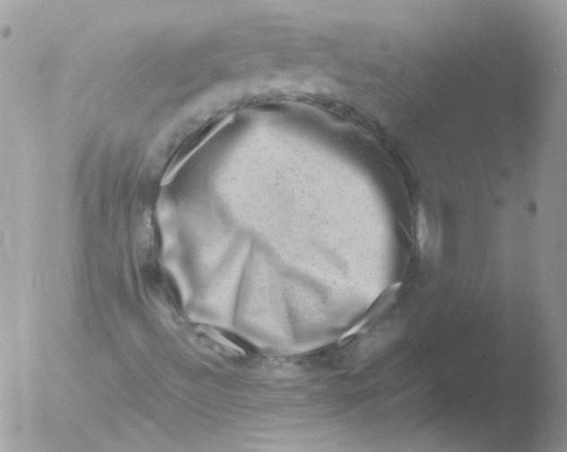 X0000051881492200507151858