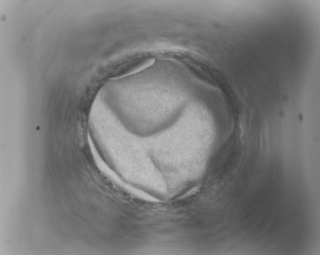 X0000051881493200507151858