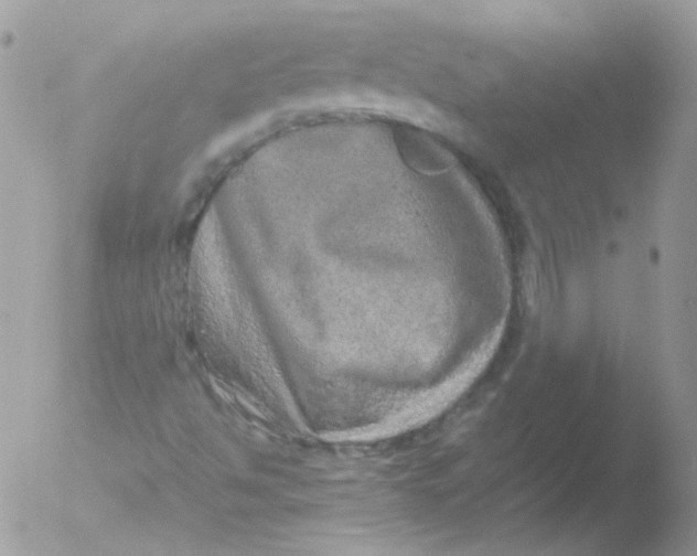 X0000051881494200507151858