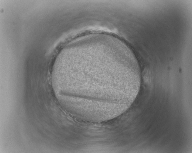 X0000051881495200507151858