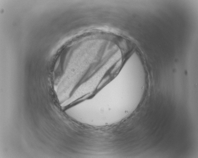 X0000051881496200507151859