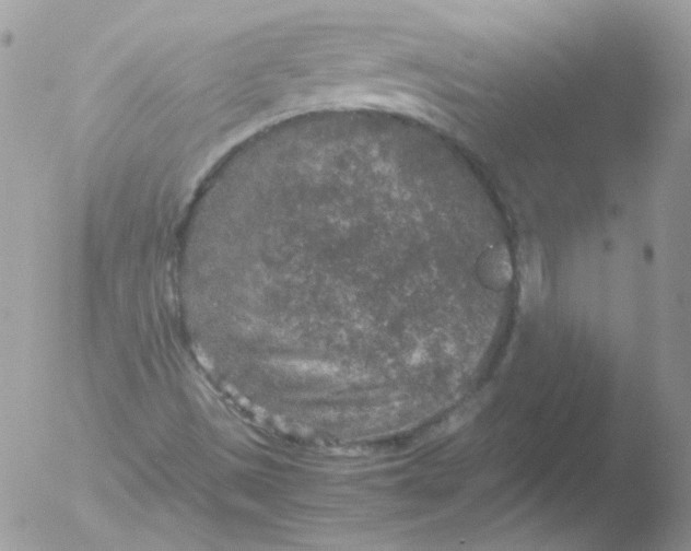 X0000051881497200507151859