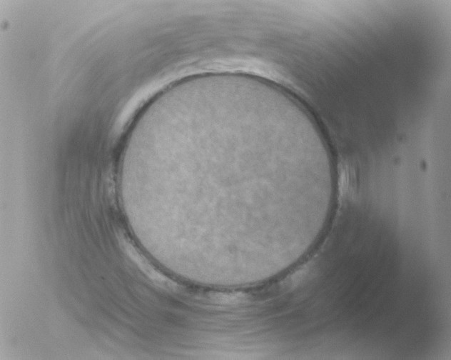 X0000051881498200507151859