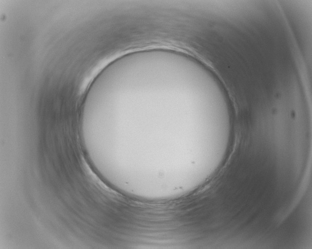 X0000051881500200507151859