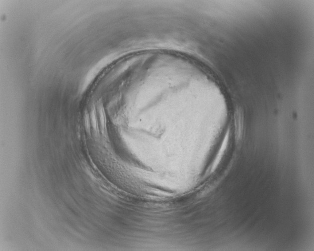 X0000051881501200507151859