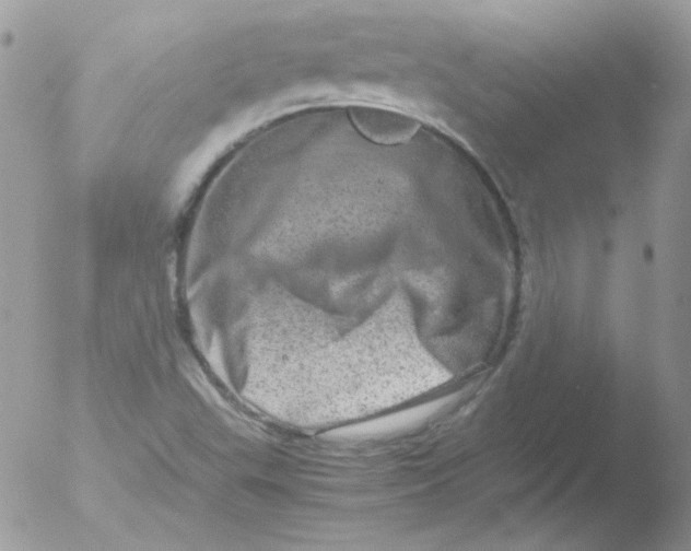 X0000051881503200507151859