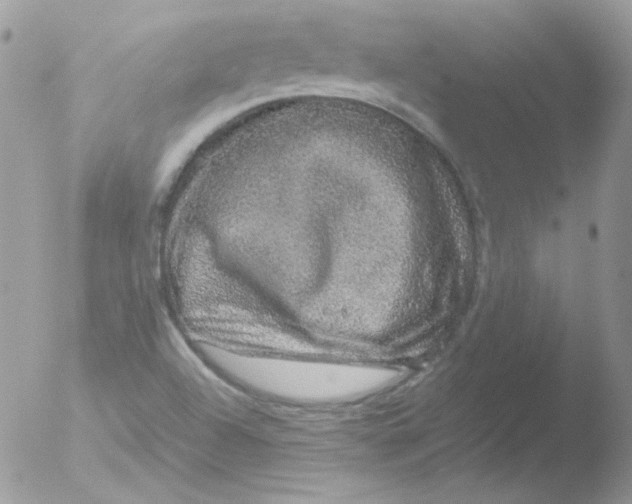 X0000051881504200507151859