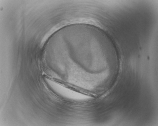 X0000051881505200507151859